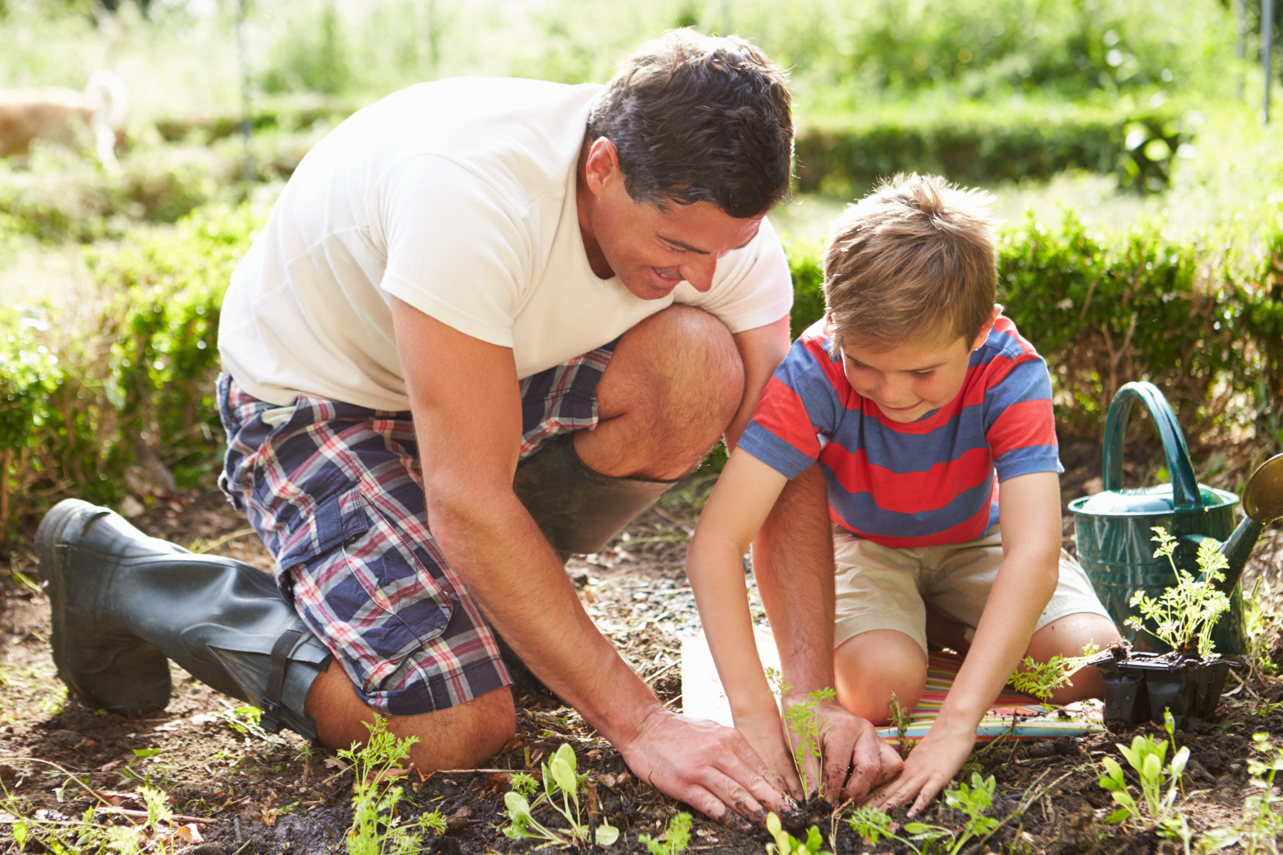 Child garden