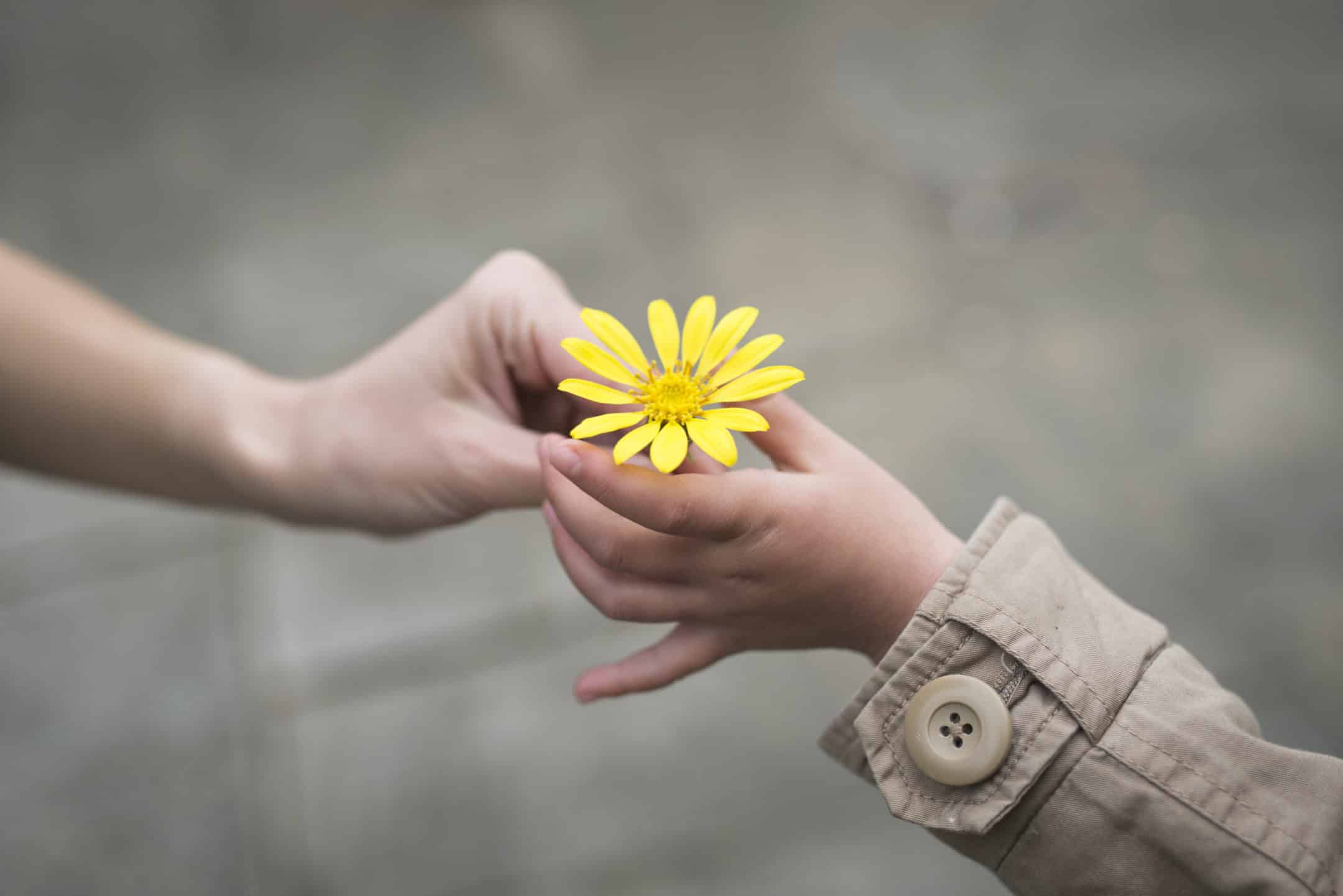 parent and child holding a yellow flower