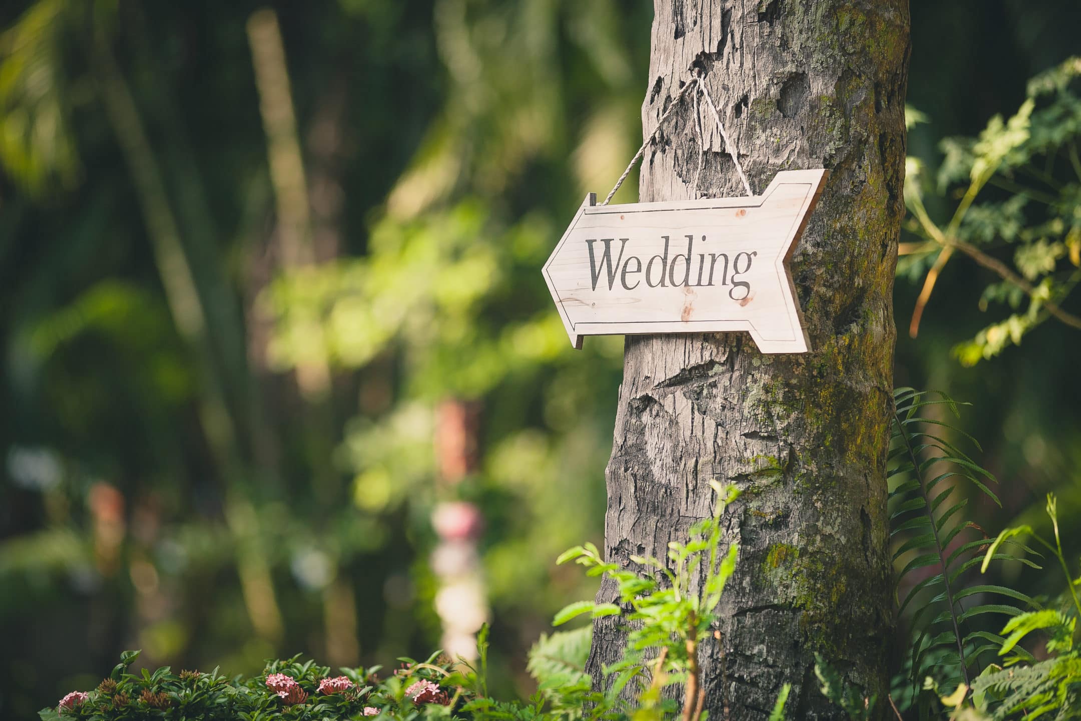 vintage wedding sign hanging from a tree