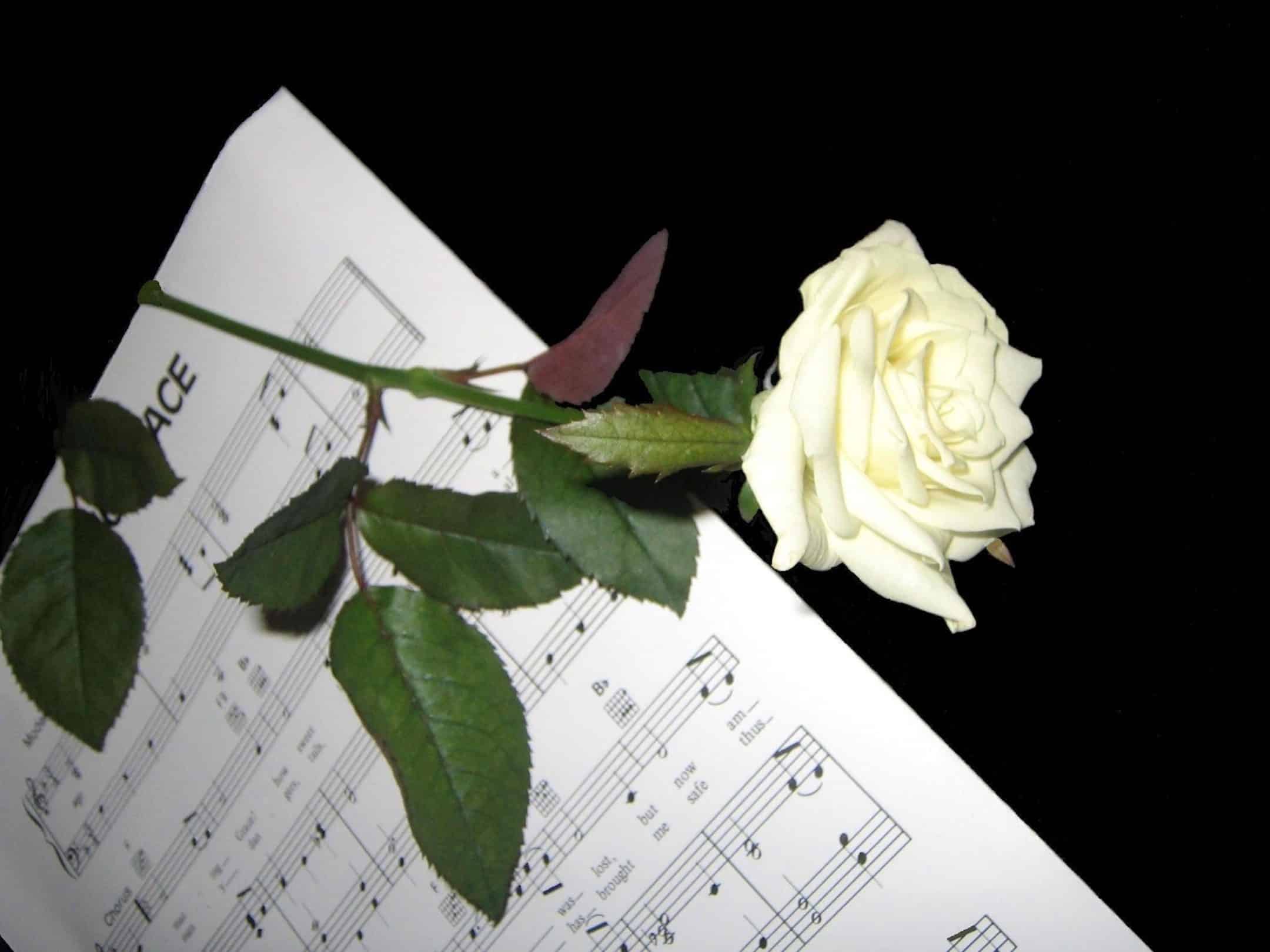 Hymn music and white rose