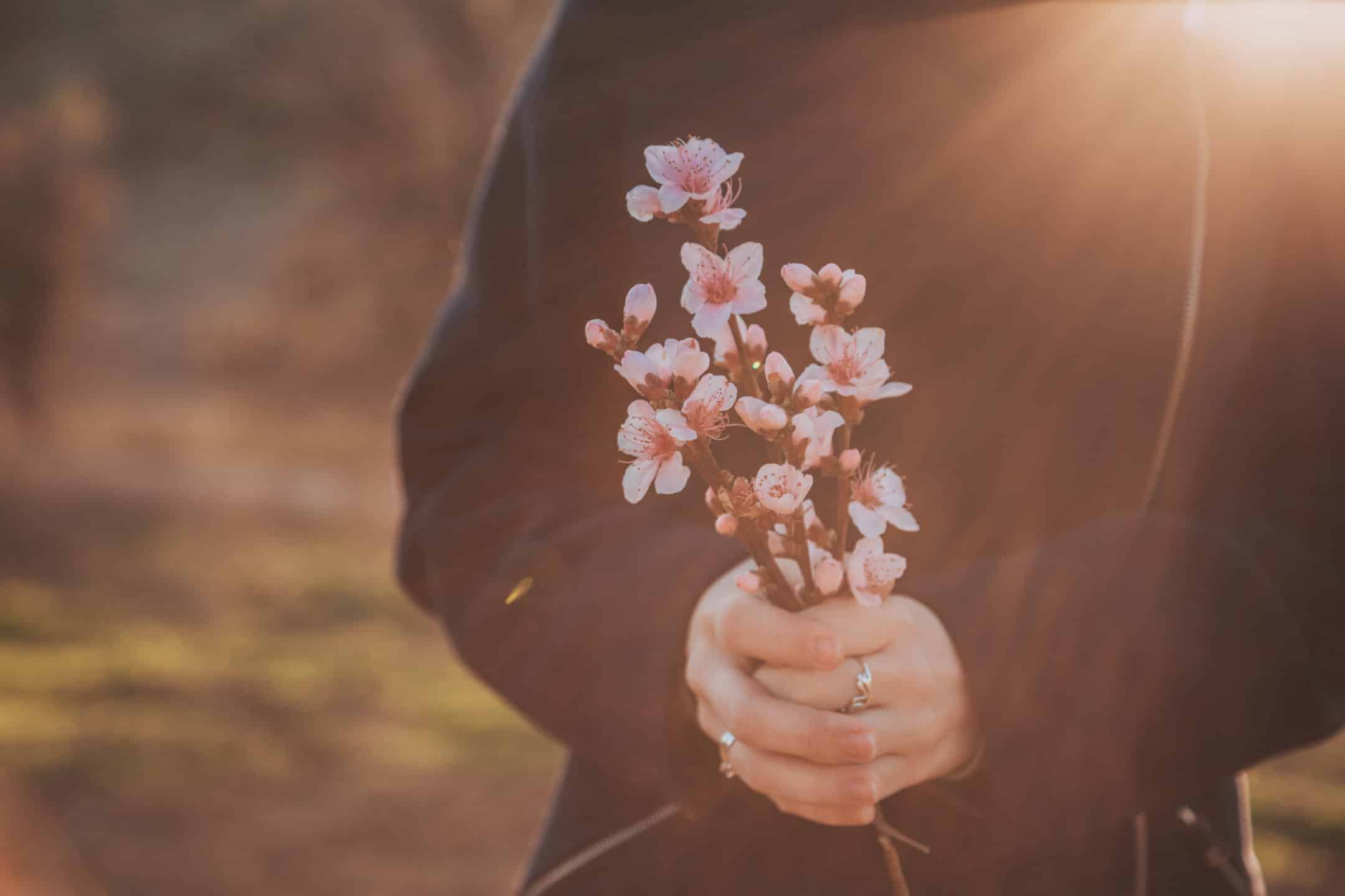 Handful of flowers with sunlight beaming